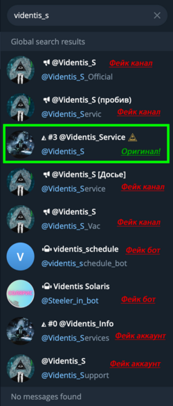 Videntis_S (antifake).png