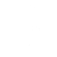 Mr. Venom