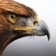 InvEagle