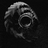 DarkEngine