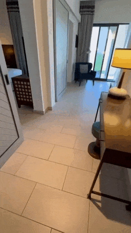 telegramhotel3105.gif