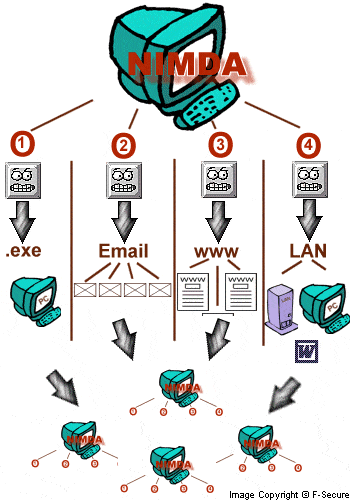 nimda-4-way-spread.gif