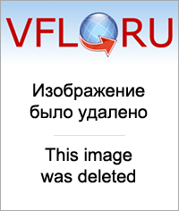 8019606.png