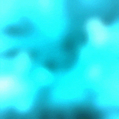 6pEYxbv.gif